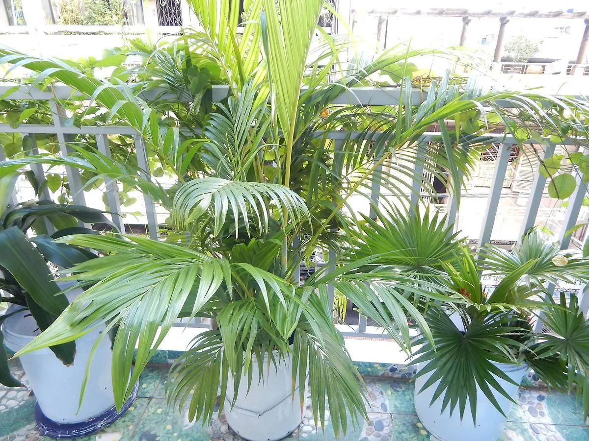 Homestay 37 Ad Ho Chi Minh City